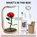 Enchanted Rose Table Lamp RGB Floating Canopy Edition